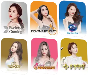 livewin login 1668 